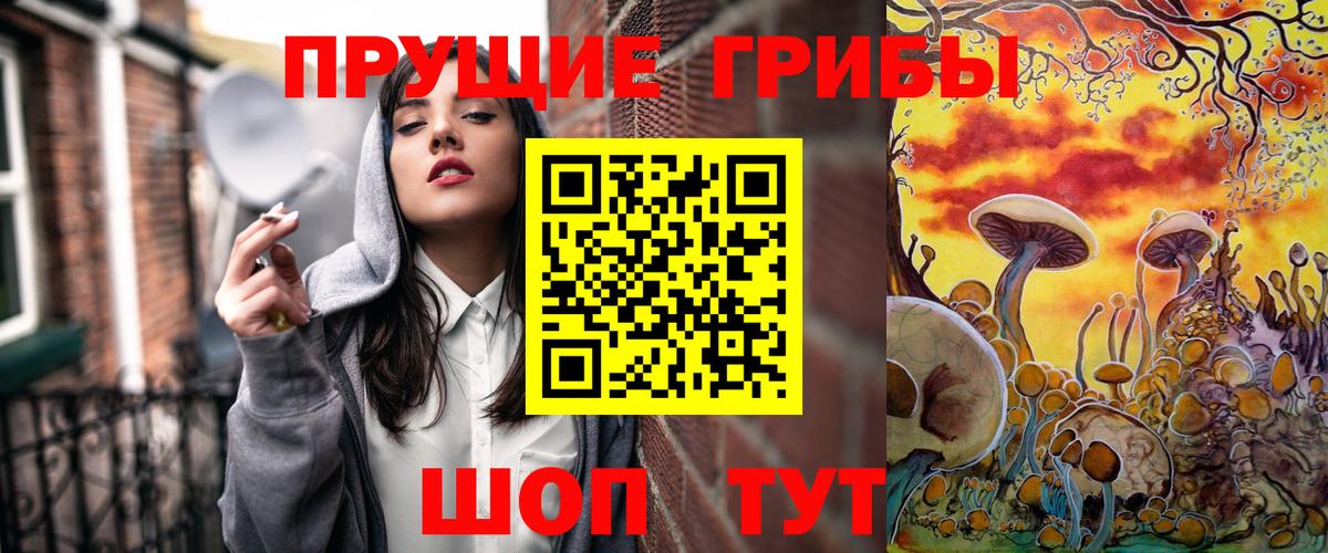 Псилоцибиновые грибы GOLDEN TEACHER  где найти   Мурино  Вход с VPN 